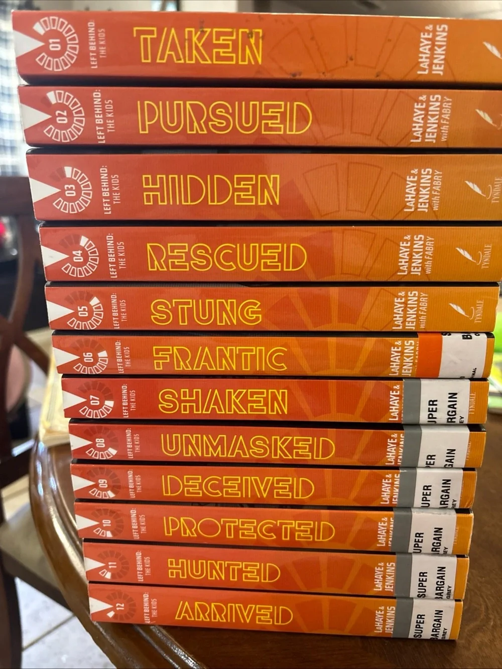 Complete left behind series 12 books Educational Reading Set